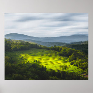 Sonnenstrahlen auf Terrassen Poster