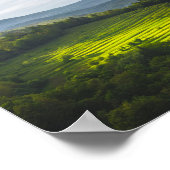 Sonnenstrahlen auf Terrassen Poster (Ecke)