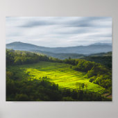 Sonnenstrahlen auf Terrassen Poster (Vorne)