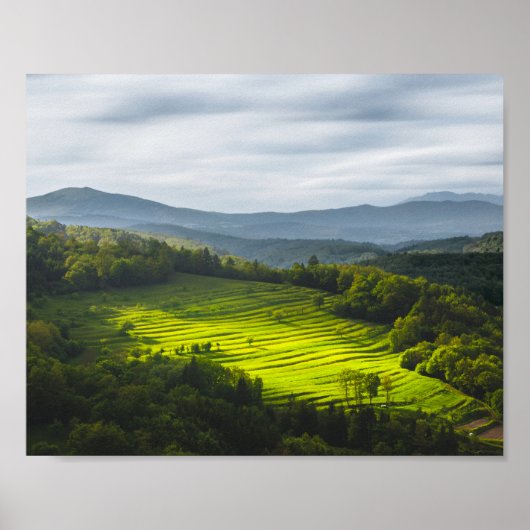 Sonnenstrahlen auf Terrassen Poster (Vorne)