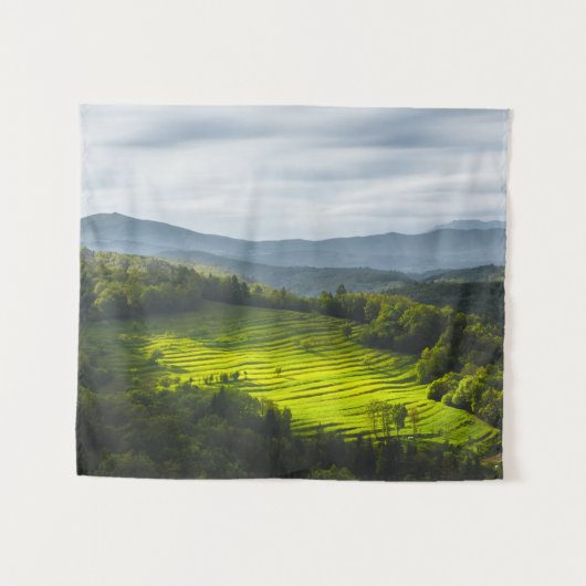 Sonnenstrahlen auf Terrassen Wandteppich (Vorderseite (Horizontal))