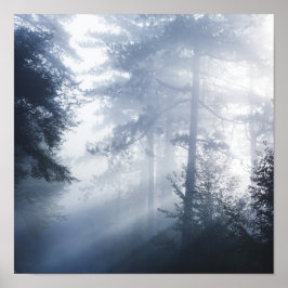 Sonnenstrahlen, die durch einen nebeligen Wald str Poster