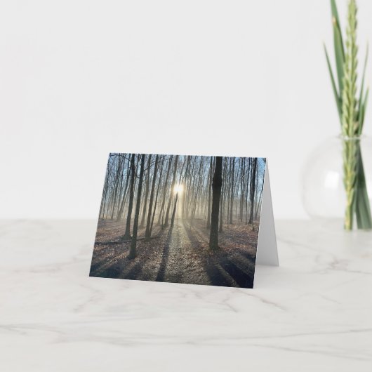 Sonnenstrahlen durch Bäume Landschaft Grußkarte Karte (Vorderseite)