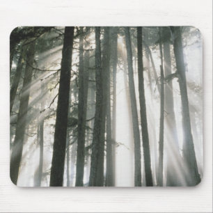 Sonnenstrahlen durch Bäume scheinend, Mount Rainie Mousepad
