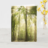 Sonnenstrahlen durch Treetops Karte (Gelbe Blume)