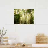 Sonnenstrahlen durch Treetops Poster (Küche)