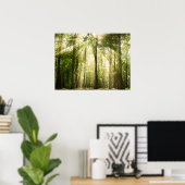 Sonnenstrahlen durch Treetops Poster (Heimbüro)