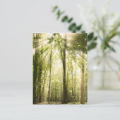 Sonnenstrahlen durch Treetops Postkarte (Stehend Vorderseite)
