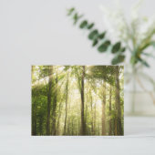 Sonnenstrahlen durch Treetops Postkarte (Stehend Vorderseite)