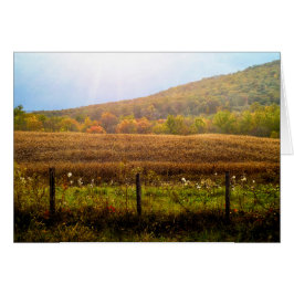 Sonnenstrahlen im Herbst