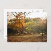 Sonnenstrahlen im Herbst, Zentralpark, New York Ci Postkarte (Vorne/Hinten)