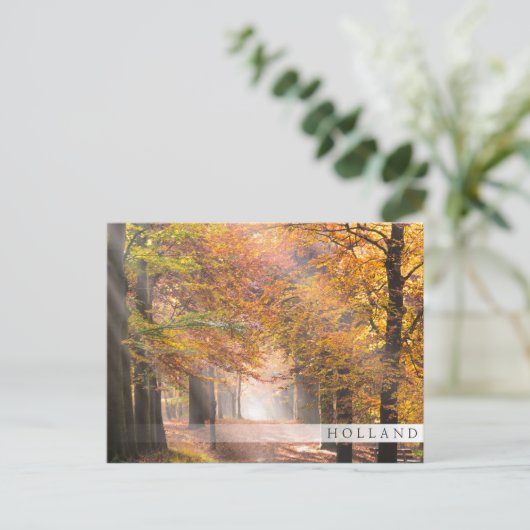 Sonnenstrahlen im Herbstwald, Holland Bar Postkart Postkarte (Stehend Vorderseite)