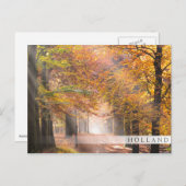 Sonnenstrahlen im Herbstwald, Holland Bar Postkart Postkarte (Vorne/Hinten)