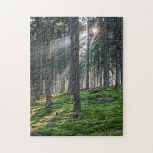 Sonnenstrahlen im Schwarzwald Puzzle