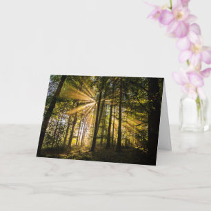 Sonnenstrahlen im verzauberten Wald 1 Karte