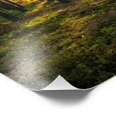 Sonnenstrahlen leuchten im Kiefernwald Fotodruck (Ecke)