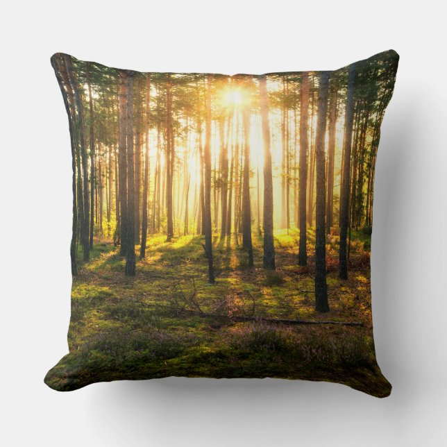 Sonnenstrahlen leuchten im Kiefernwald Kissen (Vorderseite)