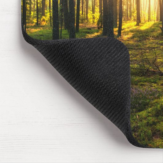 Sonnenstrahlen leuchten im Kiefernwald Mousepad (Ecke)