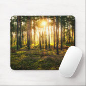 Sonnenstrahlen leuchten im Kiefernwald Mousepad (Mit Mouse)