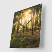 Sonnenstrahlen leuchten im Kiefernwald Quadratische Wanduhr (Winkel)