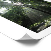 Sonnenstrahlen, Misty Morning Poster (Ecke)