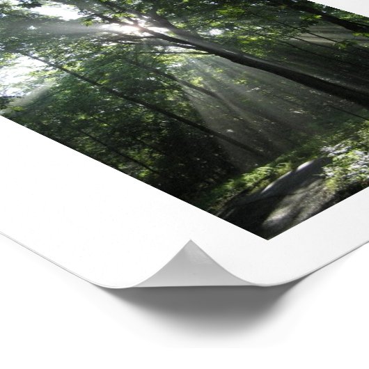 Sonnenstrahlen, Misty Morning Poster (Ecke)