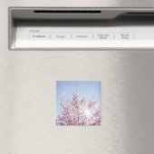 Sonnenstrahlen passieren durch rosa Blume eines Ba Magnet (In Situ (Geschirrspüler))