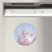 Sonnenstrahlen passieren durch rosa Blume eines Ba Magnet (In Situ (Geschirrspüler))
