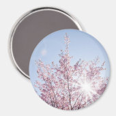 Sonnenstrahlen passieren durch rosa Blume eines Ba Magnet (Vorderseite/Rückseite)