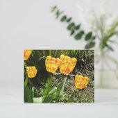 Sonnenstrahlen Postkarte (Stehend Vorderseite)