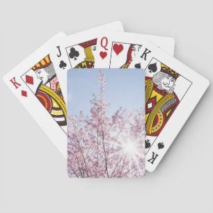 Sonnenstrahlen scheinen durch rosa Blüten eines Wo Spielkarten