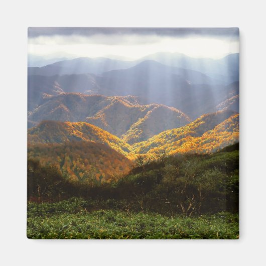 Sonnenstrahlen über den Shirakami-Sanchi-Bergen Magnet (Vorne)