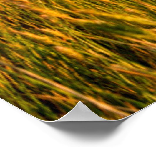 Sonnenstrahlen über Weizenfeld mit Bergen Poster (Ecke)