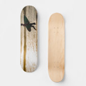 Sonnenstrand Skateboard (Vorderseite)
