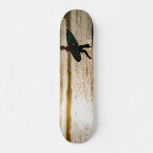 Sonnenstrand Skateboard (Vorne)