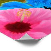Sonnenstrand Surfen Poster (Ecke)