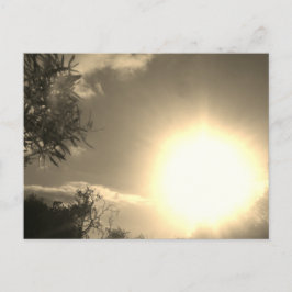 Sonnenstudio-Design der Postkarte