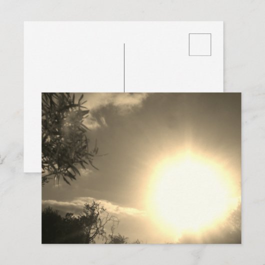 Sonnenstudio-Design der Postkarte (Vorne/Hinten)