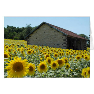 Sonnentag