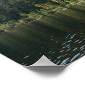 Sonnentag am Paddensee Poster (Ecke)