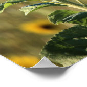 Sonnentag Poster (Ecke)