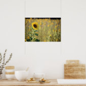 Sonnentag Poster (Küche)