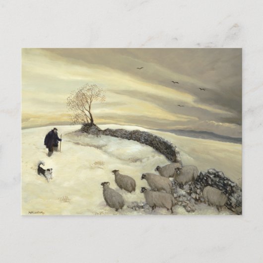 Sonnentag Postkarte (Vorderseite)