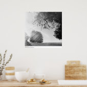 Sonnentag, University of California, Santa Cruz Poster (Küche)