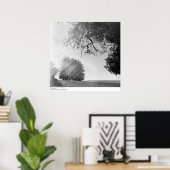 Sonnentag, University of California, Santa Cruz Poster (Heimbüro)