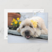 Sonnentag Wetter Postkarte (Vorne/Hinten)