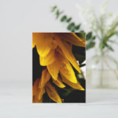 Sonnentropfen Postkarte (Stehend Vorderseite)