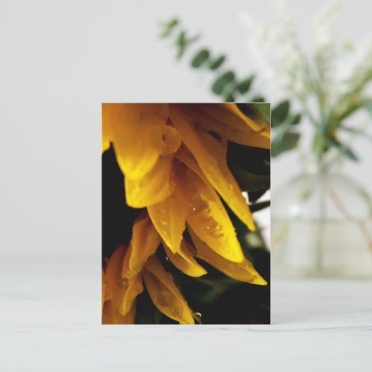 Sonnentropfen Postkarte (Stehend Vorderseite)