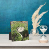 Sonnenuhr in Lavendel Fotoplatte (InSitu)