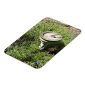 Sonnenuhr in Lavendel Magnet (Linke Seite)